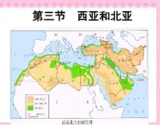 西亚特面对达姆斯达夫，展望成功